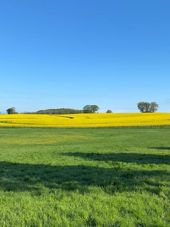 Schmuckstueck In Ostseenaehe Surendorf Экстерьер фото